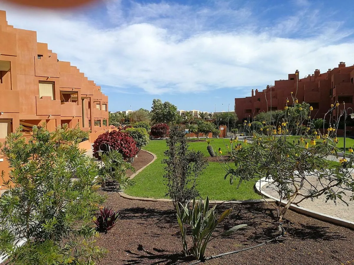 alquilaencanarias El Medano Sotavento A, terrace&pool Apartamento  El Médano